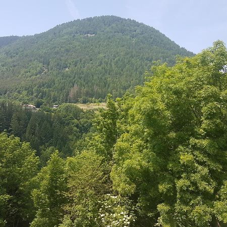 Appartamento Altipiano Pine 2 Bedollo 外观 照片
