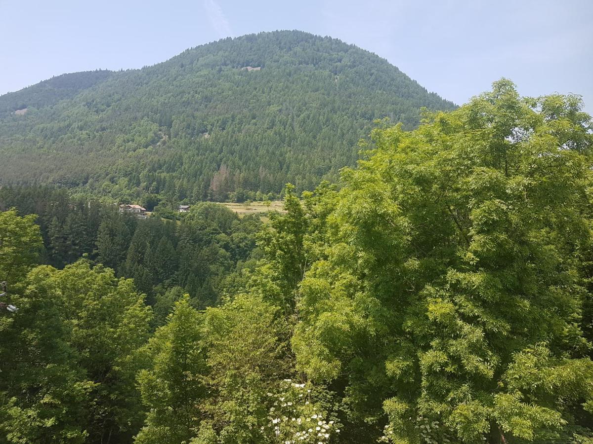Appartamento Altipiano Pine 2 Bedollo 外观 照片
